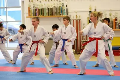 Blue Ash Family Martial Arts Ahn Taekwondo Institute
